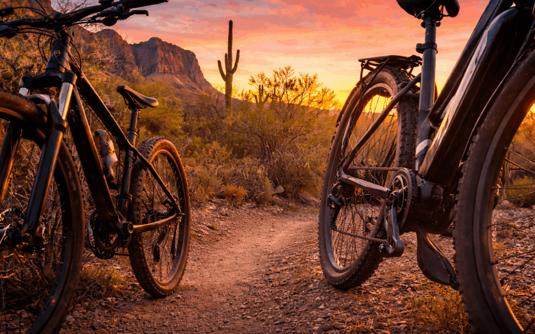 Why Junction Bike Company Is Apache Junction’s Go-To Bike Shop